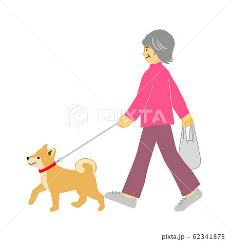 犬と散歩するシニアの女性のイラスト素材