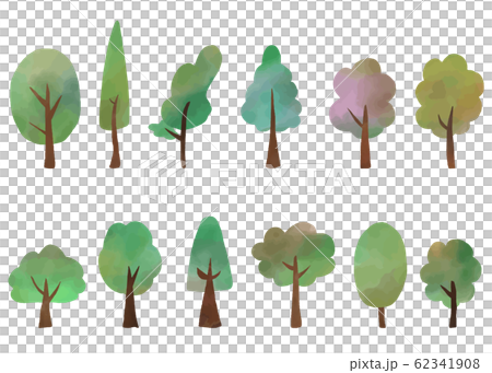 Watercolor texture tree illustration set Watercolor texture tree illustration set 62341908