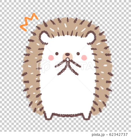 Hedgehog Surprised Stock Illustration