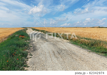 road in the wheat field on a background of the sky road in the wheat field on a background of the sky 62342974