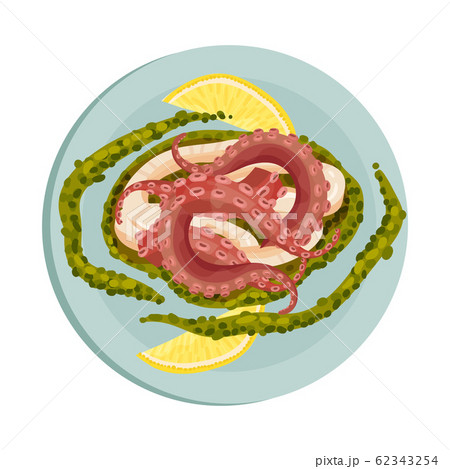 Octopus and Squid Served with Green Seaweed Top View Vector Illustration 62343254