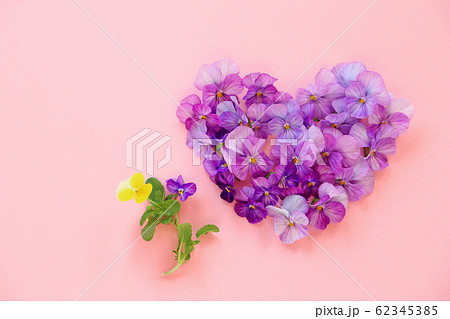 ビオラの花のハート ビオラの花のハート 62345385