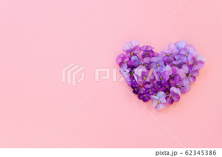 ビオラの花のハート ビオラの花のハート 62345386