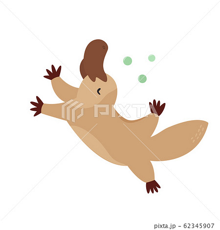A Cute Australian platypus Animal character design 62345907