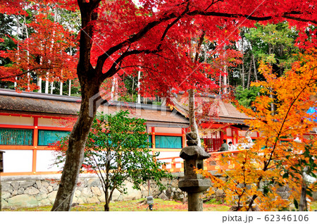 大原野神社の紅葉 62346106