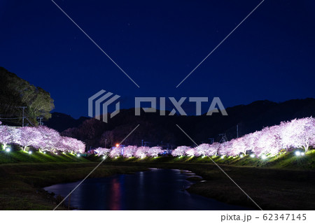 みなみの桜のライトアップ 62347145