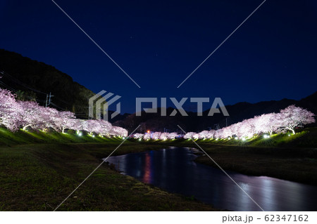 みなみの桜のライトアップ 62347162