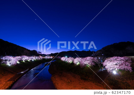 みなみの桜のライトアップ 62347170