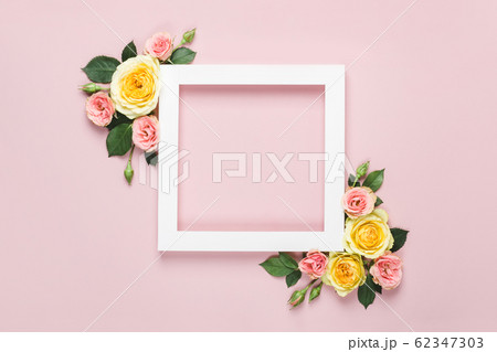 Creative layout made of beautiful roses on pink 62347303
