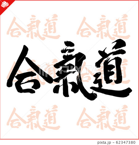 Martial art colored simbol design. Aikido emblem. 62347380