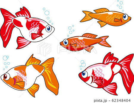 金魚のイラスト素材