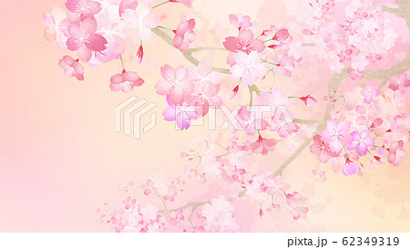 背景 和 和紙 和風 和柄 春 桜 枝のイラスト素材