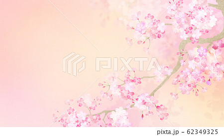 背景 和 和紙 和風 和柄 春 桜 枝のイラスト素材