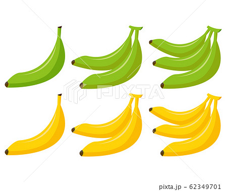 バナナ 青バナナのイラスト素材