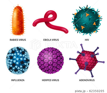 Bacteria Viruses Realistic Set 62350205