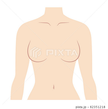 女性の胸 上半身のイラストのイラスト素材