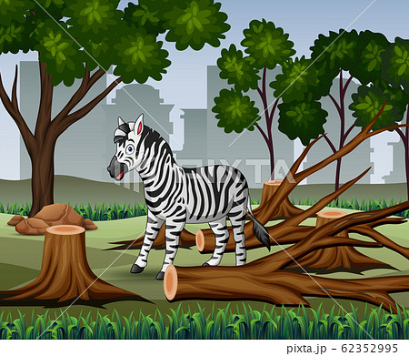 Deforestation Scene With Zebra And Timber Stock Illustration