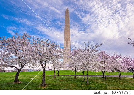 Washington DC, USA in Spring 62353759