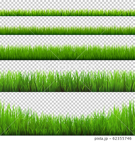 Grass borders collection. Green meadow nature background. Easter card design element. Vector Grass borders collection. Green meadow nature background. Easter card design element. Vector 62355746