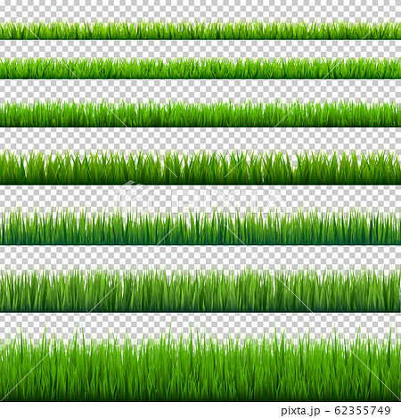 Grass borders collection. Green meadow nature background. Easter card design element. Vector 62355749