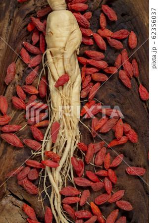 朝鮮人参 田七人参 枸杞 62356037