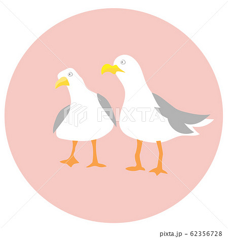 かもめのイラスト素材