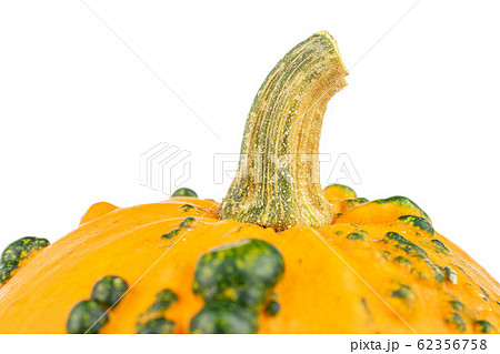 Decorative gourd isolated on white 62356758