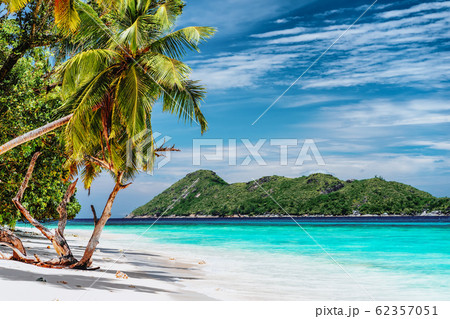 Luxury vacation scene on tropical island. Paradise beach with white sand and palm trees. Long distance travel tourism getaway concept Luxury vacation scene on tropical island. Paradise beach with white sand and palm trees. Long distance travel tourism getaway concept 62357051