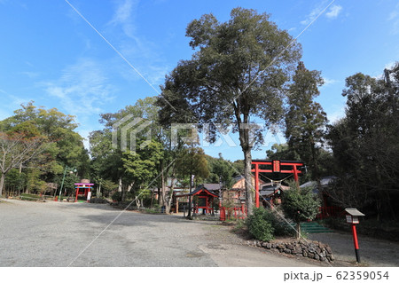 加紫久利神社 加紫久利神社 62359054