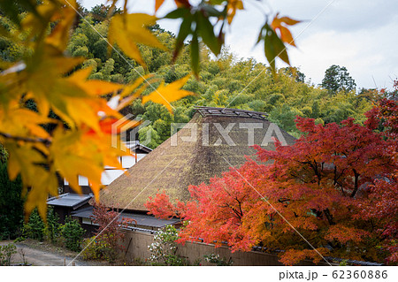 直指庵の秋、茅葺屋根の修練道場と紅葉 62360886