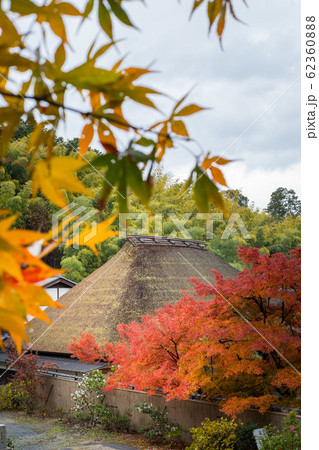 直指庵の秋、茅葺屋根の修練道場と紅葉 直指庵の秋、茅葺屋根の修練道場と紅葉 62360888