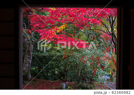 直指庵の時雨、本堂玄関から眺める紅葉 62360982