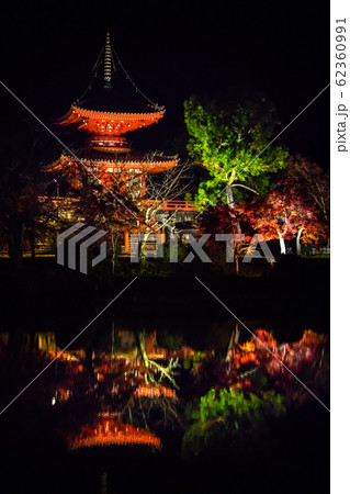 大覚寺門跡の秋、心経宝塔と紅葉の夜景を映す大沢池 62360991