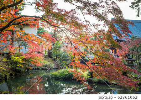 金戒光明寺の秋、「紫雲の庭」鎧池の紅葉と方丈 62361062