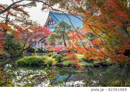 金戒光明寺の秋、「紫雲の庭」鎧池の紅葉と方丈 62361069