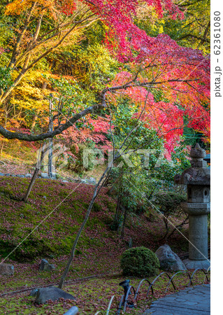 金戒光明寺の秋、「紫雲の庭」の紅葉と灯籠 62361080