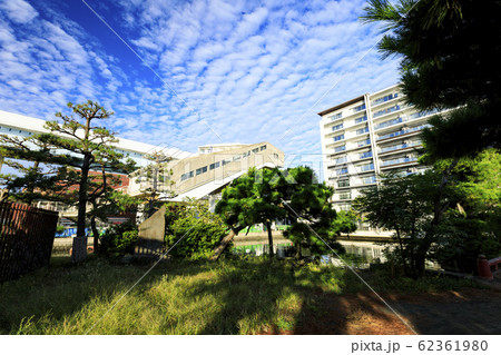 金沢八景（夏） 62361980
