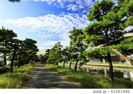 金沢八景（夏） 62361996