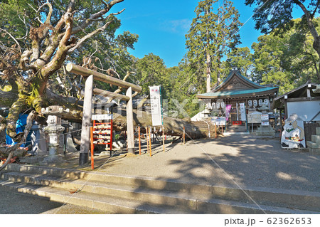【賀茂神社】 滋賀県近江八幡市加茂町 62362653
