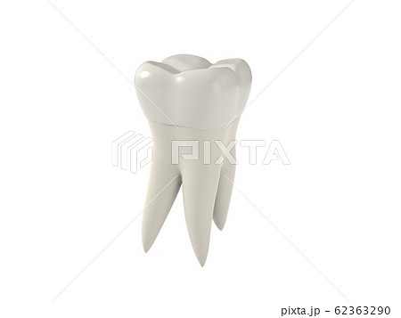 3d illustration of simple molar tooth. 62363290