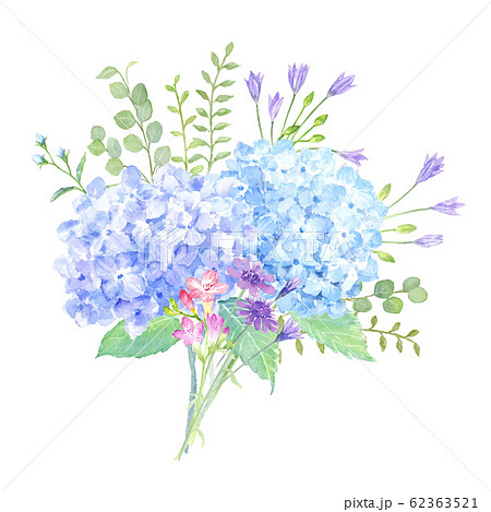 水彩で描くあじさいと植物の花束のイラスト素材 [62363521] - PIXTA