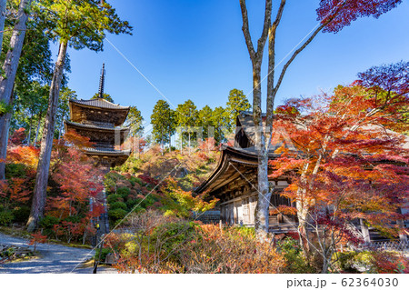 滋賀県 湖南三山の一つ 紅葉の美しい常楽寺の本堂と三重塔 滋賀県 湖南三山の一つ 紅葉の美しい常楽寺の本堂と三重塔 62364030