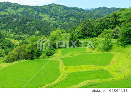 新潟十日町_蒲生の棚田 62364138