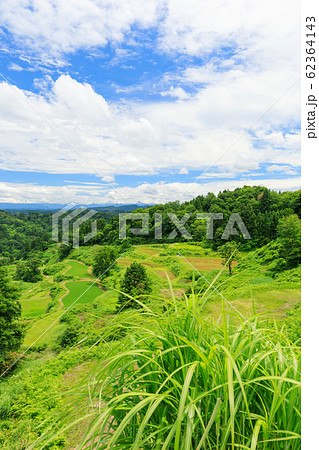 新潟十日町_蒲生の棚田 62364143