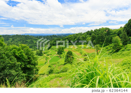 新潟十日町_蒲生の棚田 62364144