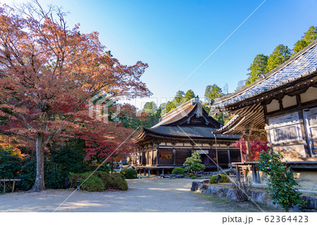 湖南三山　秋の善水寺の境内　紅葉 62364423