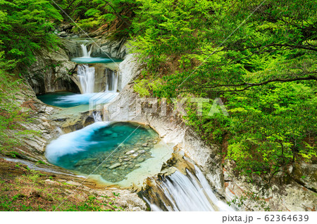 山梨_七ツ釜五段の滝新緑 山梨_七ツ釜五段の滝新緑 62364639