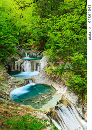 山梨_七ツ釜五段の滝新緑 62364641