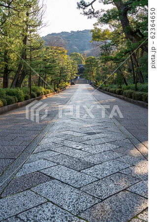 大谷祖廟 参道 京都市東山区 大谷祖廟 参道 京都市東山区 62364650