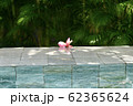 バリ島ヴィラ 62365624